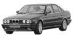 BMW E34 P2034 Fault Code